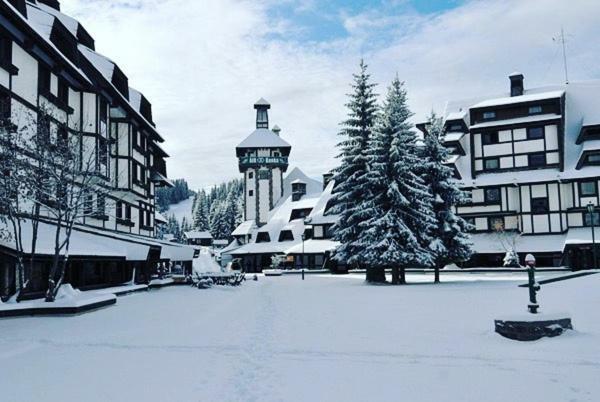 Moni Luxury Apartments Kopaonik Exteriör bild